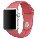 Apple苹果国行原装运动型表带适用Apple Watch2/3/4/5/6/7代38/40mm毫米 【38/40毫米】茶花运动乐队表带MPUK2FE