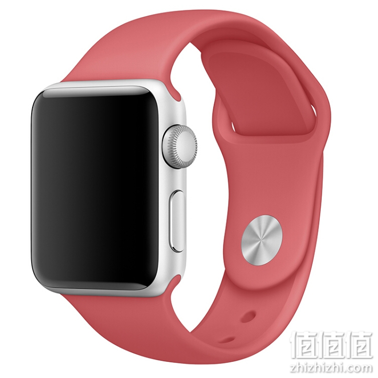 Apple苹果国行原装运动型表带适用Apple Watch2/3/4/5/6/7代38/40mm毫米 【38/40毫米】茶花运动乐队表带MPUK2FE