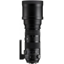 SIGMA 适马 50-600mm F5-6.3 DG OS HSM｜Sports 全画幅 超远摄变焦镜头 打鸟拍荷花（尼康单反卡口）