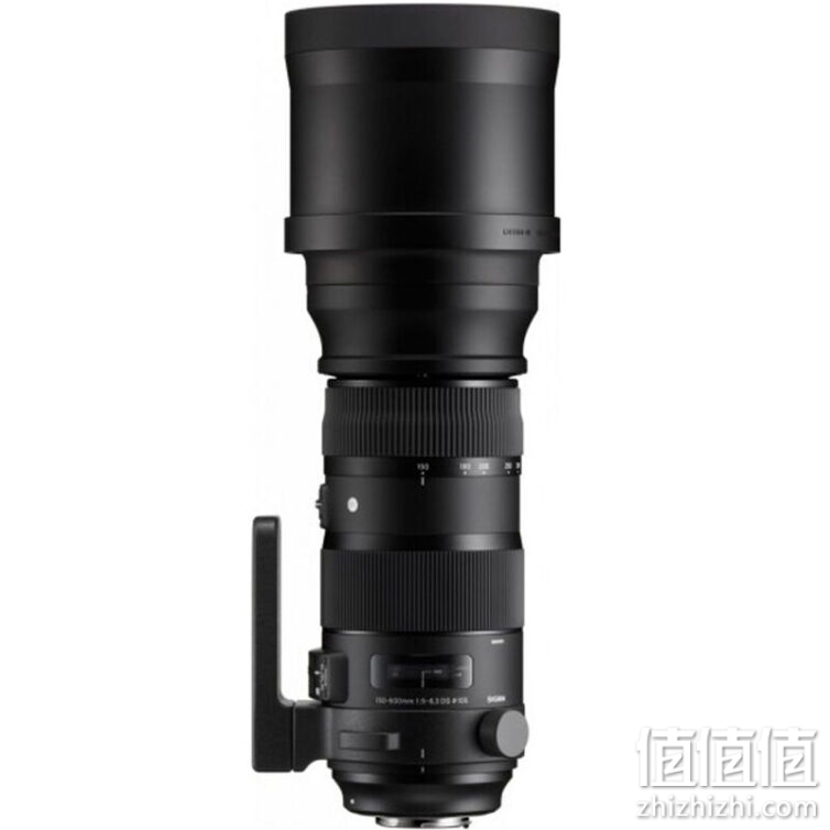 SIGMA 适马 50-600mm F5-6.3 DG OS HSM｜Sports 全画幅 超远摄变焦镜头  打鸟拍荷花（尼康单反卡口）