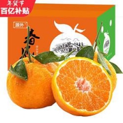 PLUS会员：源外 正宗四川春见耙耙柑中大果5斤*2件