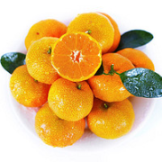 京觅 金秋沙糖桔 砂糖橘 甜橘子2.5kg礼筐￥24.75 1.8折