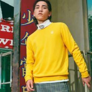 15日10点：XTEP 特步 8813290593690900x 男款运动卫衣