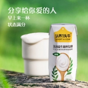 认养一头牛 法国益生菌酸奶 200g*12盒*2箱