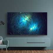 PLUS会员！SKYWORTH 创维 55A3 液晶电视 55英寸 4K