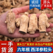 山庭堂  6年西洋参粒头20-25支