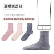 芬腾 秋冬加厚保暖地板袜纯色暖暖袜 3双