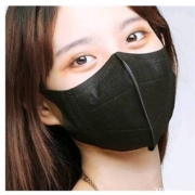 京喜app、有券的上：聆懿 一次性口罩立体贴合 3D口罩黑色 10片0元包邮（需用券）