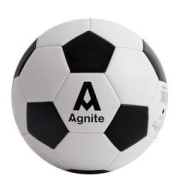 Agnite 安格耐特 PVC足球 F1203 黑白 5号/标准34.2元