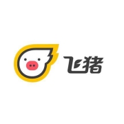 鸽子腿：安心回家 飞猪抢288元春运礼包