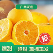 南方姑娘 无籽广西沃柑 5斤