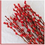 静茹轩 喜庆红 60cm*10支