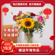 PLUS会员：远方的花 混搭10只小花束