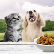 宠物营养品什么牌子好？10大宠物营养品品牌排行榜
