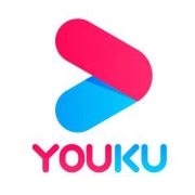 优酷 黄金vip年费会员 12个月
