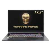 TERRANS FORCE 未来人类 T7 17.3英寸游戏笔记本电脑（i7-11800H、32GB、1TB SSD、RTX3080、300Hz、100%sRGB）17299元