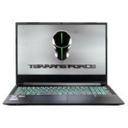 TERRANS FORCE 未来人类 AMD-3070-600S1 锐龙版 R5 5000系列 15.6英寸 游戏本 黑色 (锐龙R5-5600X、RTX 3070 8G、32GB、2TB SSD、2K、165Hz)