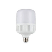 飞雅仕 led灯泡 5W 体验款