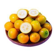 PLUS会员：shui guo shu cai 水果蔬菜 广西特产融安脆皮金桔 8-15g 1斤装*5件