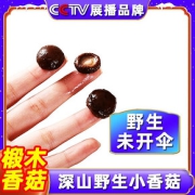 五朵山椴木珍珠菇野生小香菇250g