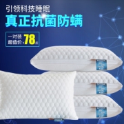 紫罗兰 防螨抗菌 全棉羽丝绒枕头 74*48cm 1对装