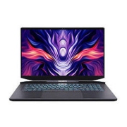 MECHREVO 机械革命 钛钽PLUS 17.3英寸游戏本（i7-11800H、16GB、512GB、RTX3070）