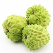 韶云山 释迦果 中果 1.5kg