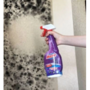 mootaa 墙体壁纸除霉除菌多功能清洁剂 550ml