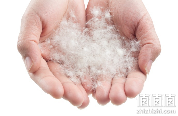 如何选购睡袋？登山睡袋选购指南