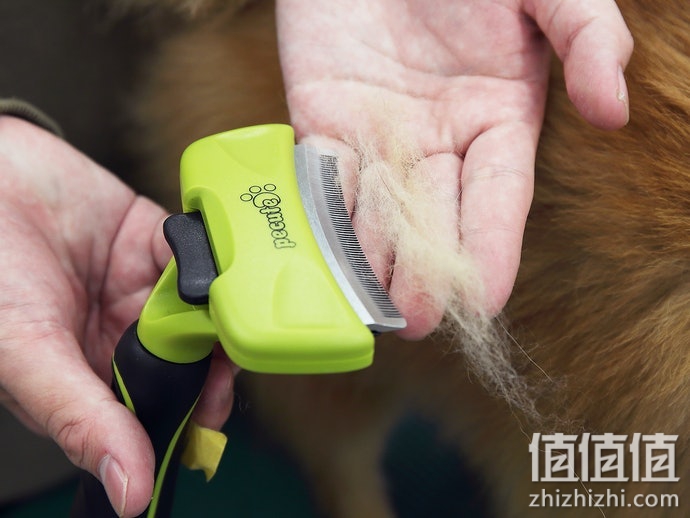 宠物梳毛刷子怎么选？狗狗除毛刷选购指南