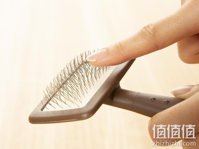 宠物梳毛刷子怎么选？狗狗除毛刷选购指南