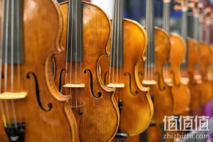 初学者怎么选择小提琴？小提琴选购指南