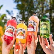 再降价：奇盟 澳州宾得宝 果汁饮料 375ml*6瓶