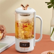 PLUS会员：LOCK&LOCK 乐扣乐扣 EJK3915WHT 养生壶 600ML-含茶漏