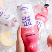 汉口二厂 0脂0糖0卡三零气泡水 480ml*5瓶