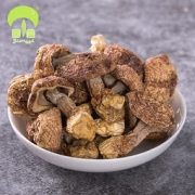 菌益 姬松茸 野生特级云南无熏硫巴西菇 108g