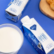 新希望 生牛乳纯牛奶250ml*10瓶