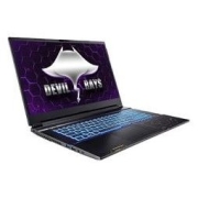 TERRANS FORCE 未来人类 DR722 17.3英寸游戏笔记本电脑（i7-11800H、16GB、512GB、RTX3060）
