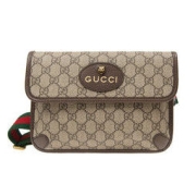 23日10点：GUCCI 古驰 4939309C2VT 经典虎头单肩包