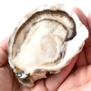 PLUS会员：艚旺鲜汇 乳山生蚝 特大号 净重4斤（8-11个）