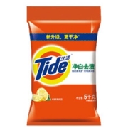 Tide 汰渍 净白去渍洗衣粉 5kg