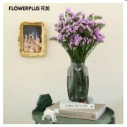 PLUS会员：FlowerPlus 花加  勿忘我1束 颜色随机