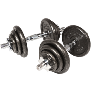 PLUS会员：PROIRON PRKCAS20K 纯铁哑铃 20KG