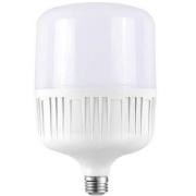 精忠报国  灯泡led节能家用白光5W