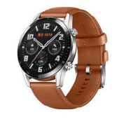 HUAWEI 华为 WATCH GT 2 智能手表 46mm 卵石棕