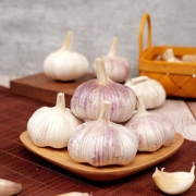 河南农家新干大蒜红皮蒜5斤