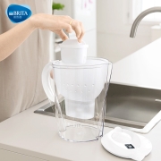 BRITA 碧然德 STYLE XL 滤水壶净水器+专家版滤芯5枚到手6芯