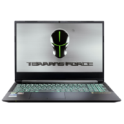 TERRANS FORCE 未来人类 15.6英寸游戏本（R9-3900、32GB、2TB、RTX3070）