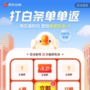蛤蟆腿：京东 打白条单单返 随机抽取白条立减券/免息券 YH