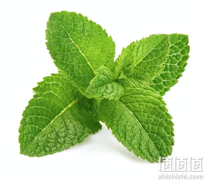 怎么选择除尘螨用品？除尘螨用品选购指南